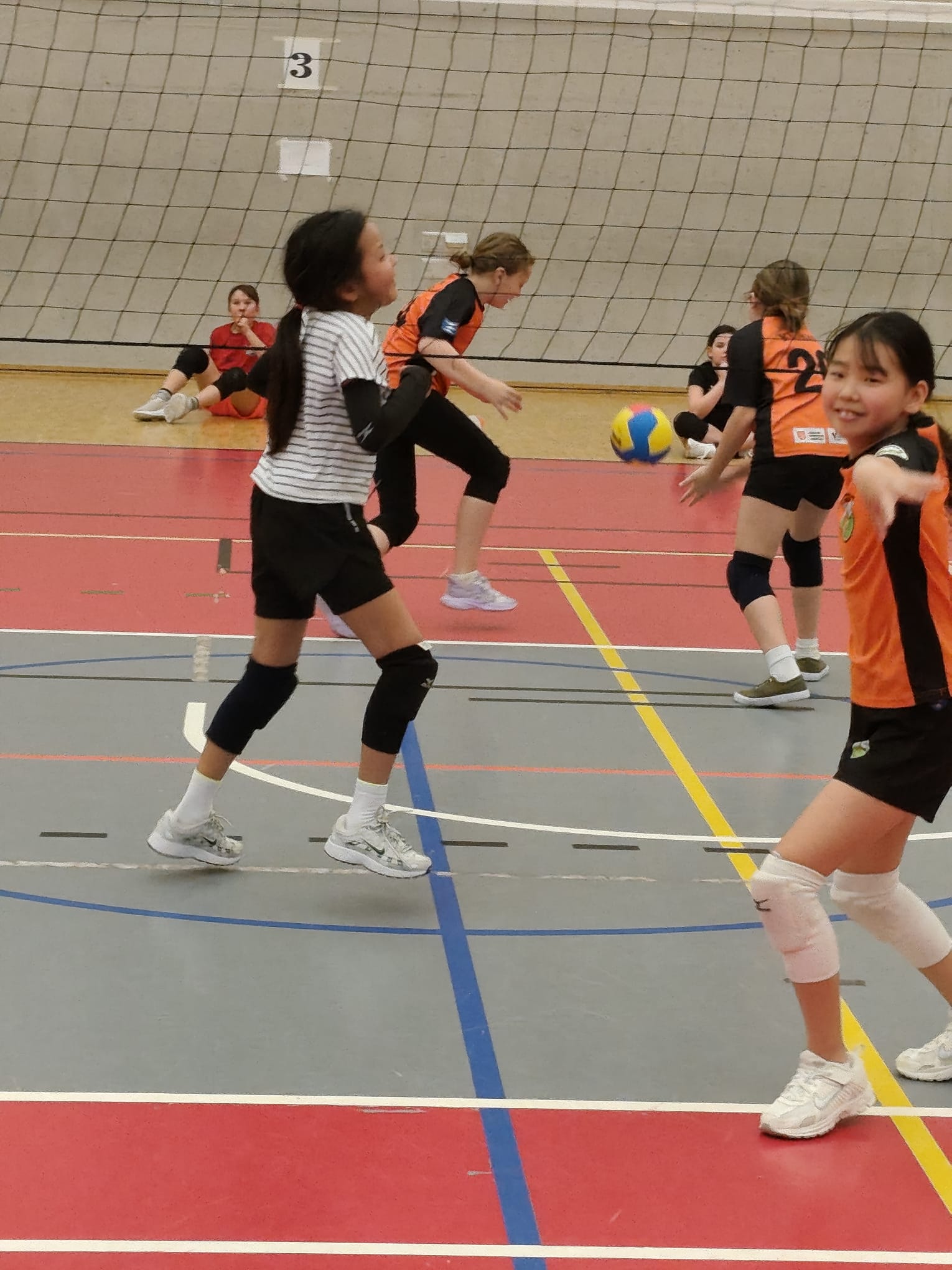 motion_photo_2726222012206517712